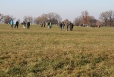 2011-11-12-14-56-03-img_8298