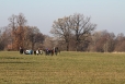 2011-11-12-14-56-19-img_8299