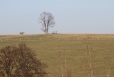 2011-11-12-14-56-56-img_8300