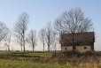 2011-11-12-15-04-49-img_8325