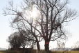 2011-11-12-15-05-36-img_8330