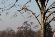 2011-11-12-15-07-05-img_8338