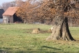 2011-11-12-15-08-17-img_8342