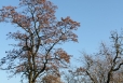2011-11-12-15-14-52-img_8353