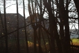2011-11-12-15-24-55-img_8364