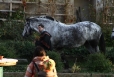 2011-11-12-16-22-54-img_8415