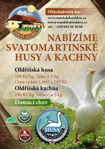 savatomartinska_hua_kachna_rijen_2013_002